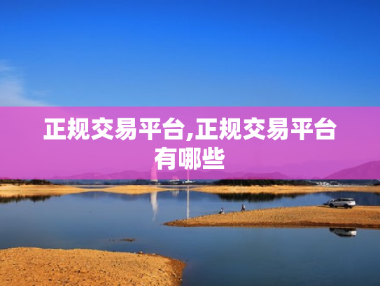 正规交易平台,正规交易平台有哪些