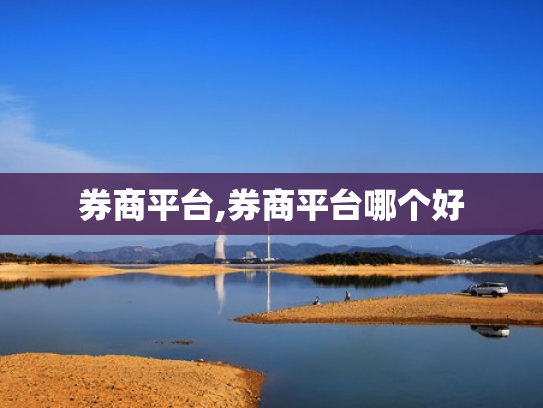 券商平台,券商平台哪个好