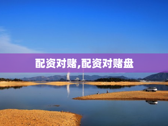 配资对赌,配资对赌盘