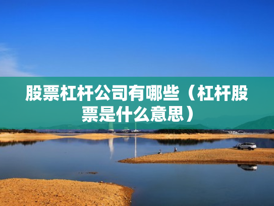股票杠杆公司有哪些（杠杆股票是什么意思）