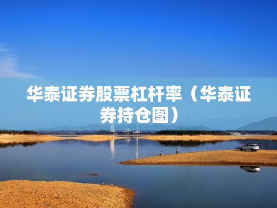 华泰证券股票杠杆率（华泰证券持仓图）