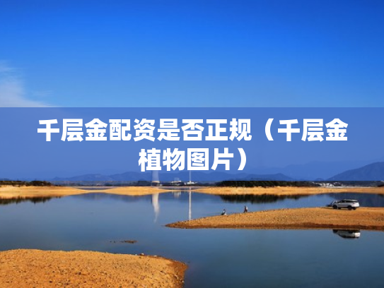 千层金配资是否正规（千层金植物图片）