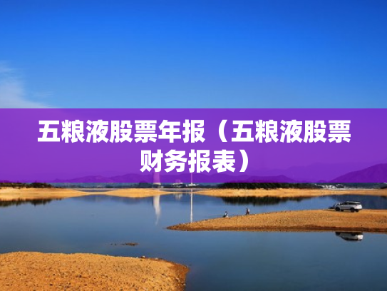 五粮液股票年报（五粮液股票财务报表）