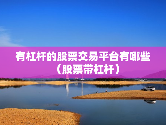 有杠杆的股票交易平台有哪些（股票带杠杆）