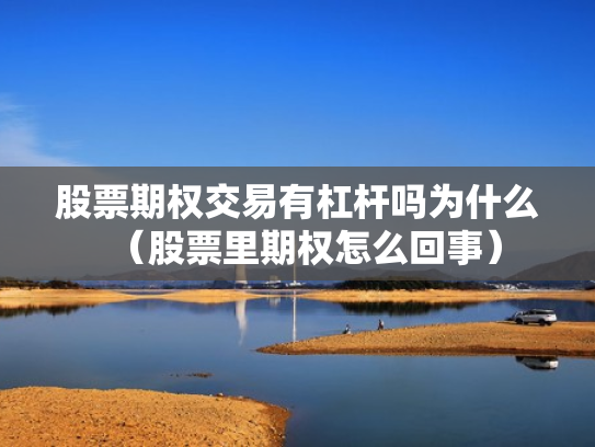 股票期权交易有杠杆吗为什么（股票里期权怎么回事）