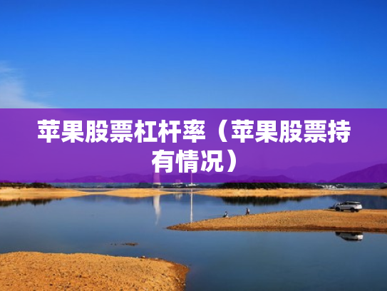 苹果股票杠杆率（苹果股票持有情况）