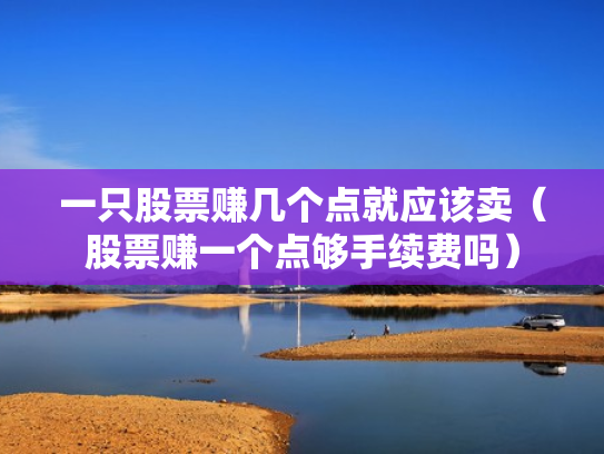 一只股票赚几个点就应该卖（股票赚一个点够手续费吗）