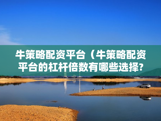 牛策略配资平台（牛策略配资平台的杠杆倍数有哪些选择?）