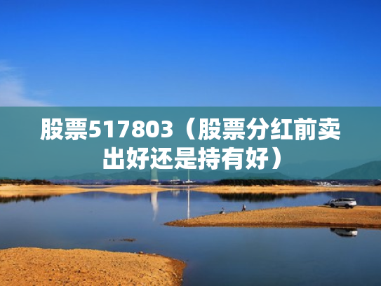 股票517803（股票分红前卖出好还是持有好）