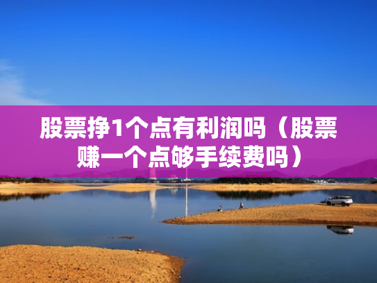股票挣1个点有利润吗（股票赚一个点够手续费吗）