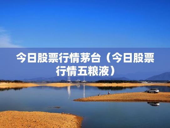 今日股票行情茅台（今日股票行情五粮液）