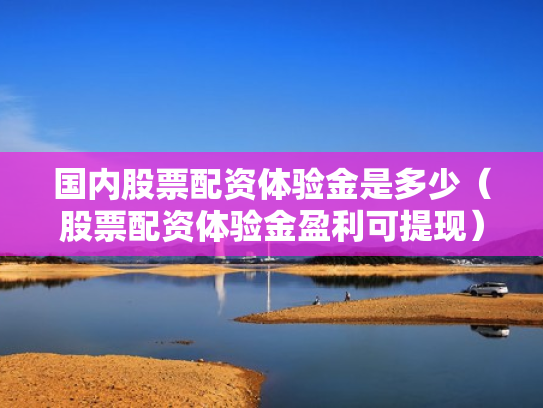 国内股票配资体验金是多少（股票配资体验金盈利可提现）