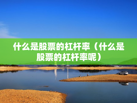 什么是股票的杠杆率（什么是股票的杠杆率呢）